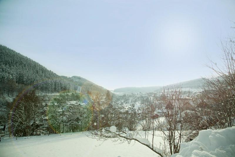 Haus Alexandra Inkl Meinecard Plus Willingen  Exterior photo