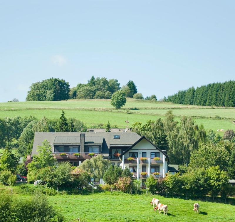 Haus Alexandra Inkl Meinecard Plus Willingen  Exterior photo